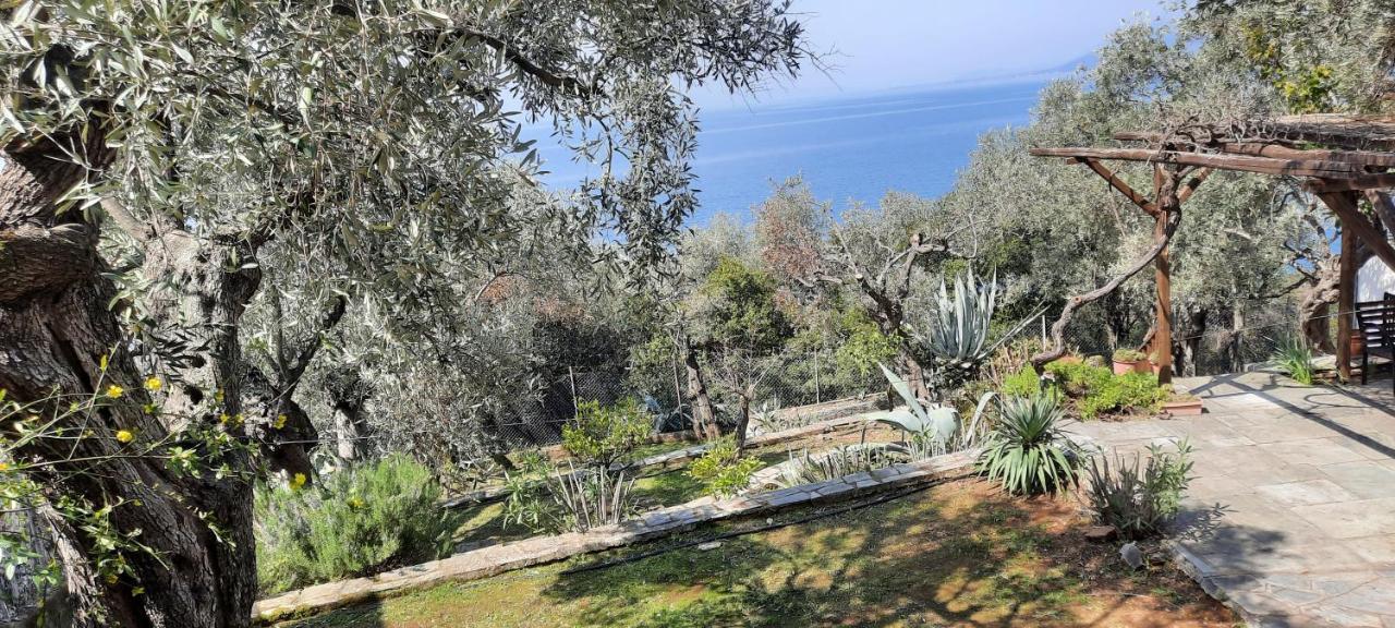 Villa Imelda Afissos Bagian luar foto