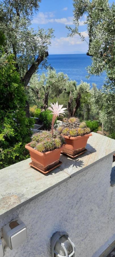 Villa Imelda Afissos Bagian luar foto