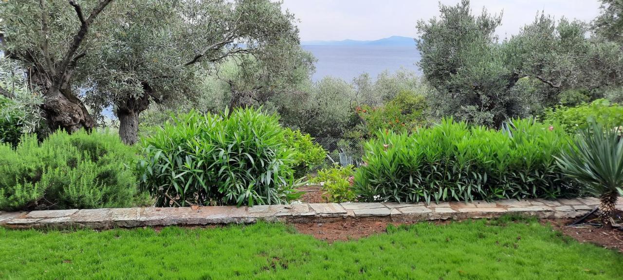 Villa Imelda Afissos Bagian luar foto