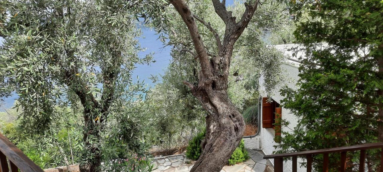 Villa Imelda Afissos Bagian luar foto